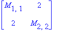 matrix([[M[1,1], 2], [2, M[2,2]]])